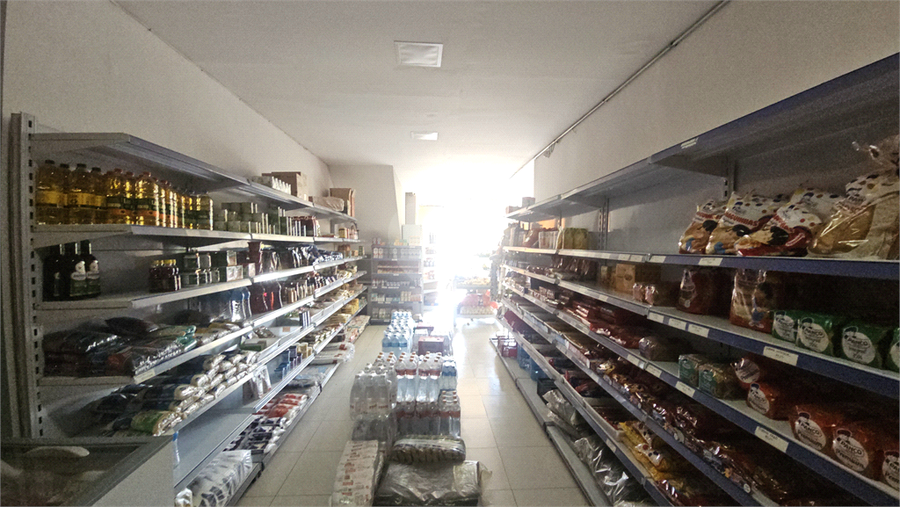 Foto REO1130486