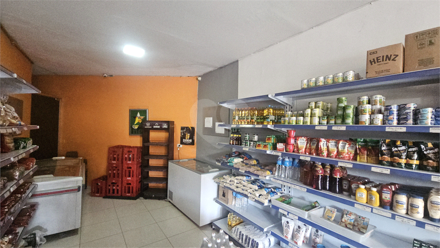 Foto REO1130486