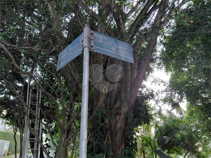 Foto REO1130494