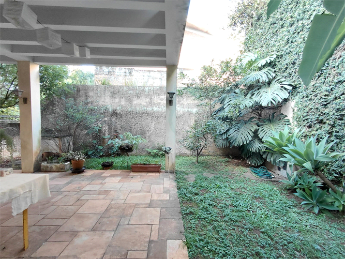 Foto REO1130494