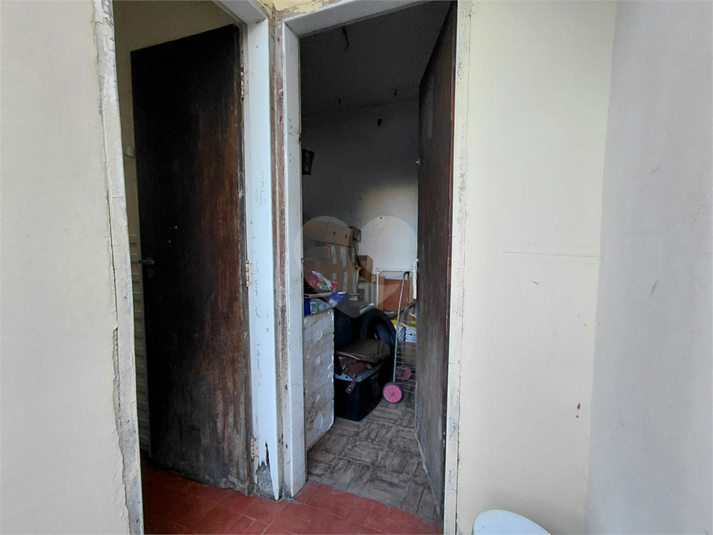 Foto REO1130494