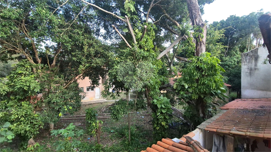 Foto REO1130495