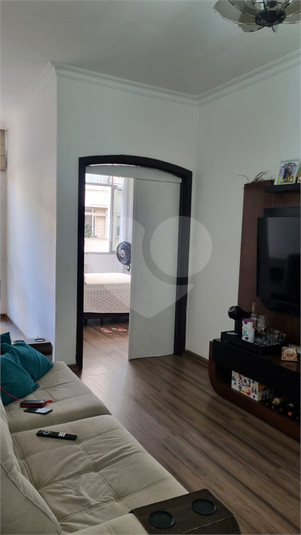 Foto REO1130546
