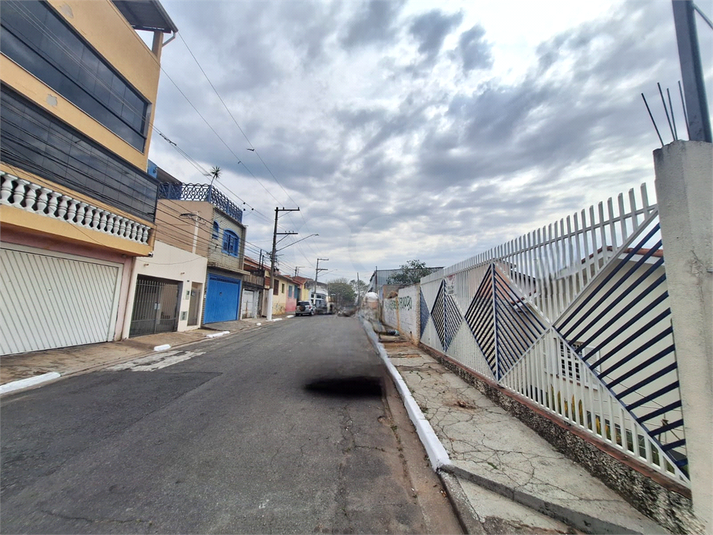 Foto REO1130555