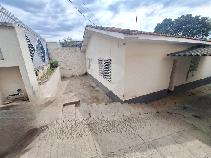 Foto REO1130555