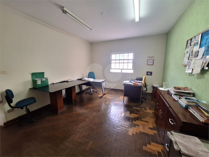 Foto REO1130555