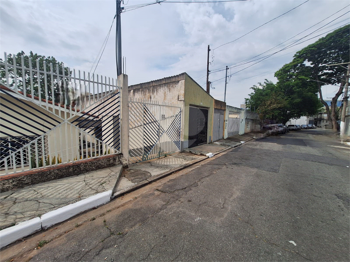 Foto REO1130555