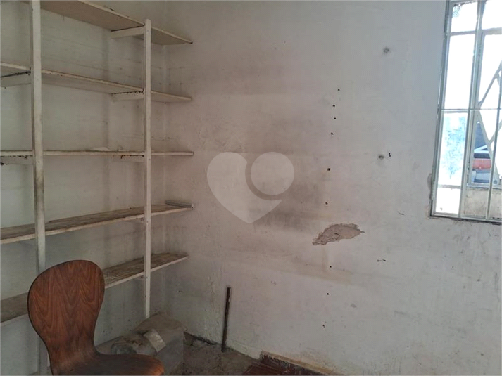 Foto REO1130559