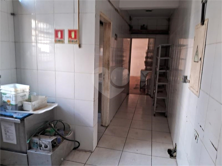 Foto REO1130559