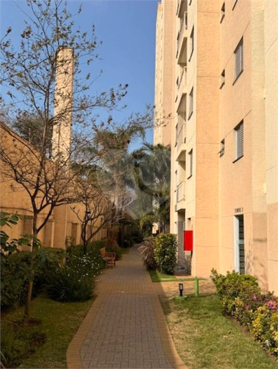 Foto REO1130570
