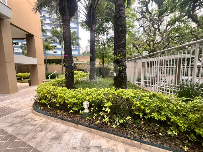 Foto REO1130578