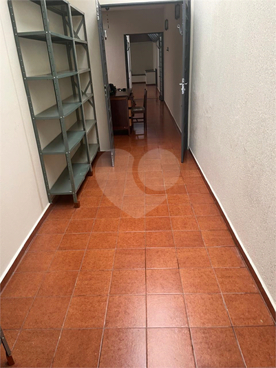 Foto REO1130580