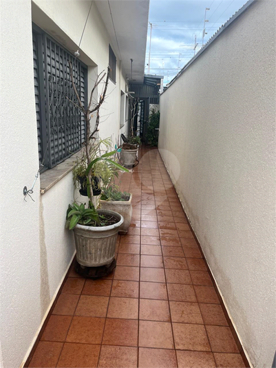 Foto REO1130580