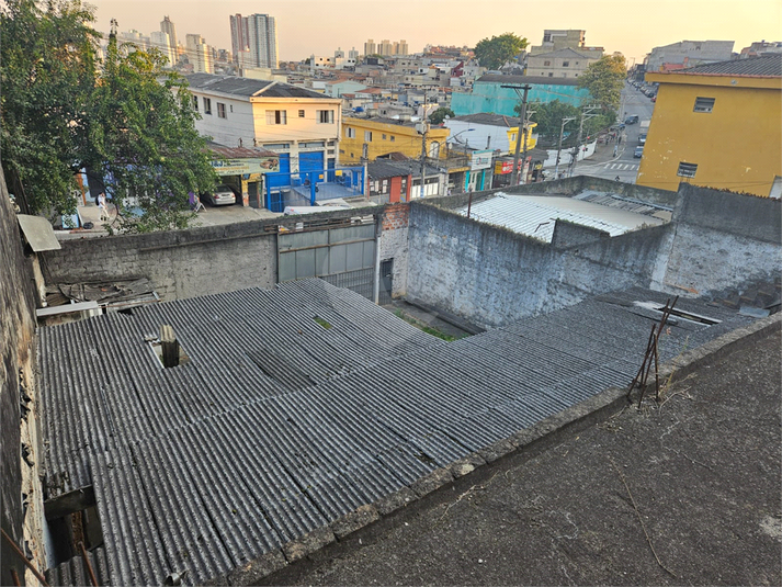 Foto REO1130589