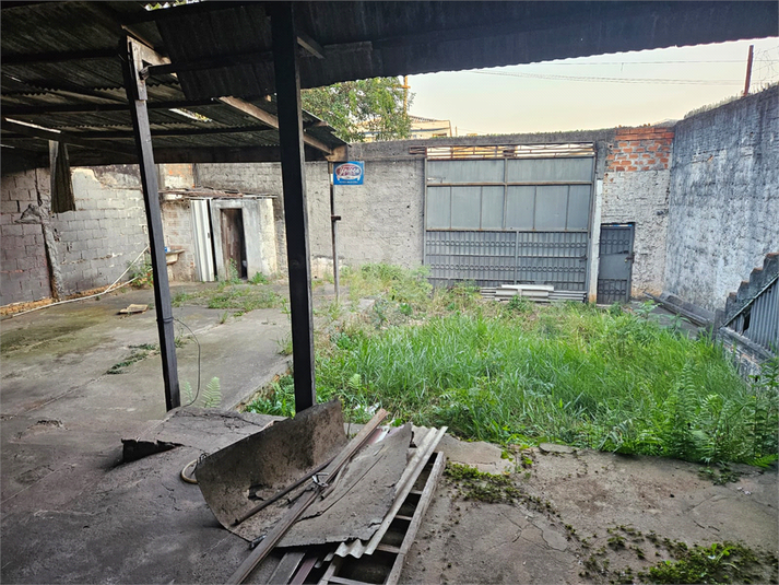 Foto REO1130589