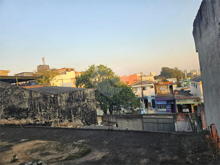 Foto REO1130589