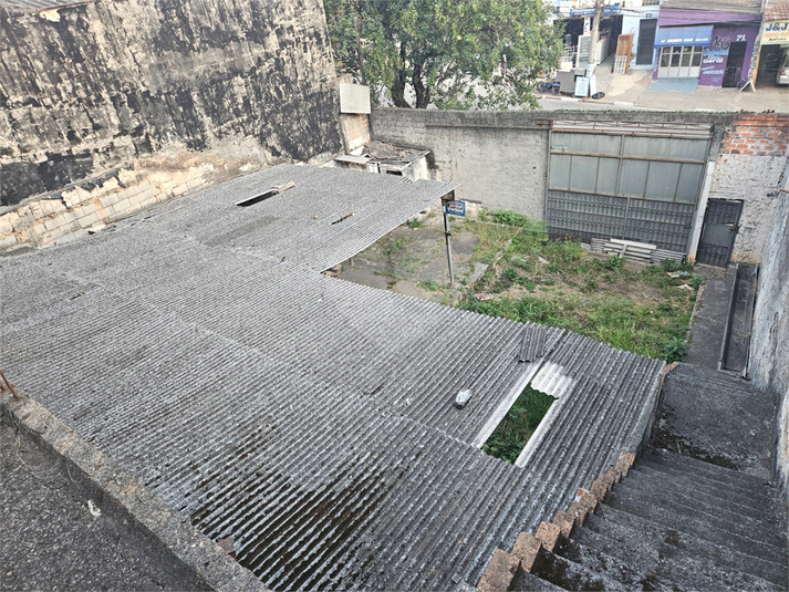 Foto REO1130589