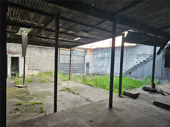 Foto REO1130589