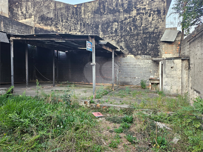 Foto REO1130589