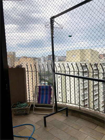Foto REO1130592
