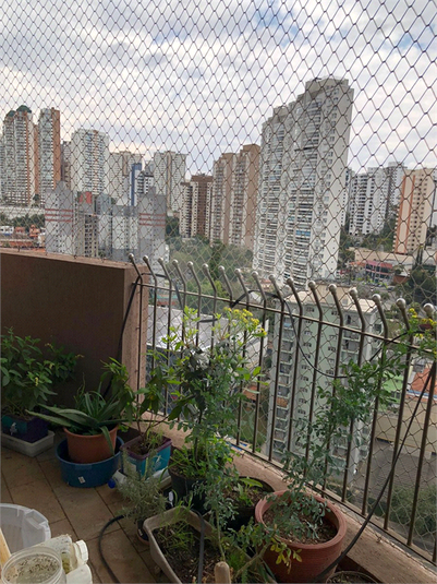 Foto REO1130592