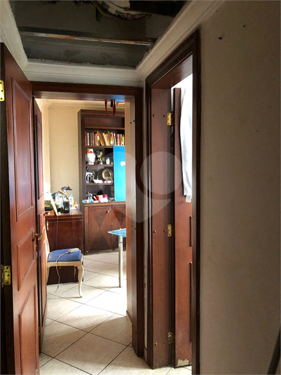 Foto REO1130592