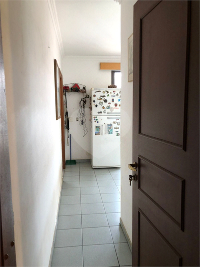 Foto REO1130592