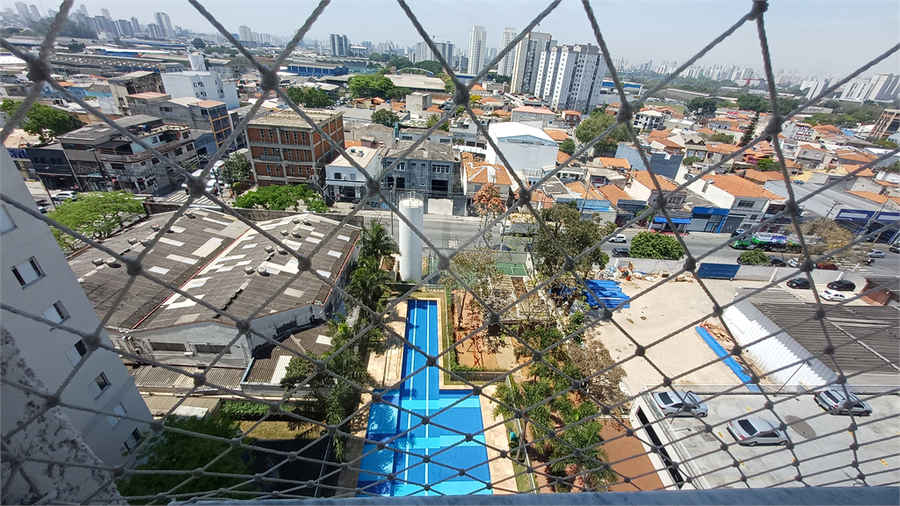 Foto REO1130594