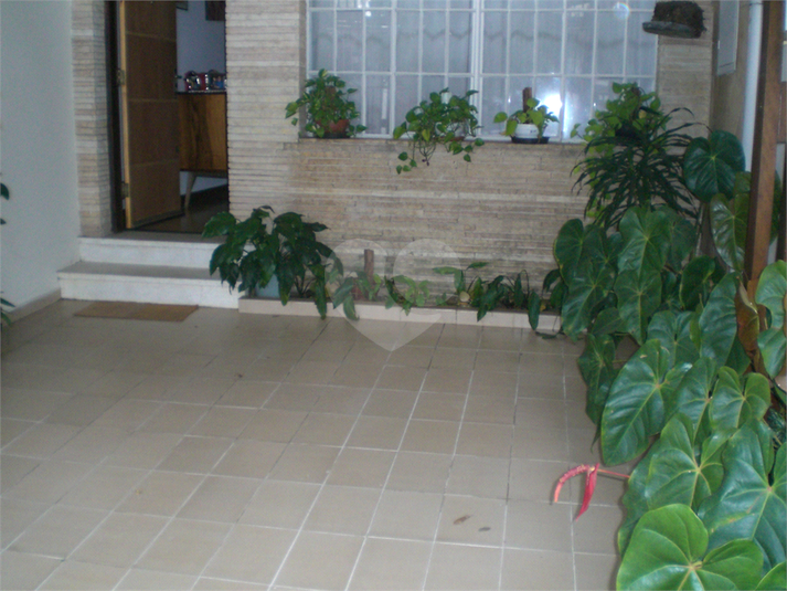Foto REO1130595