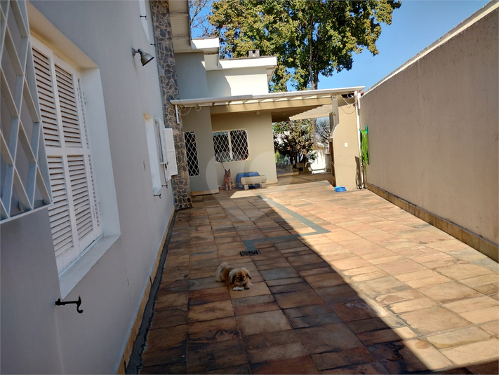Foto REO1130597