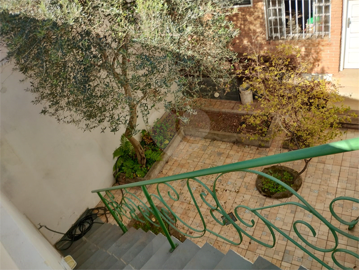 Foto REO1130597