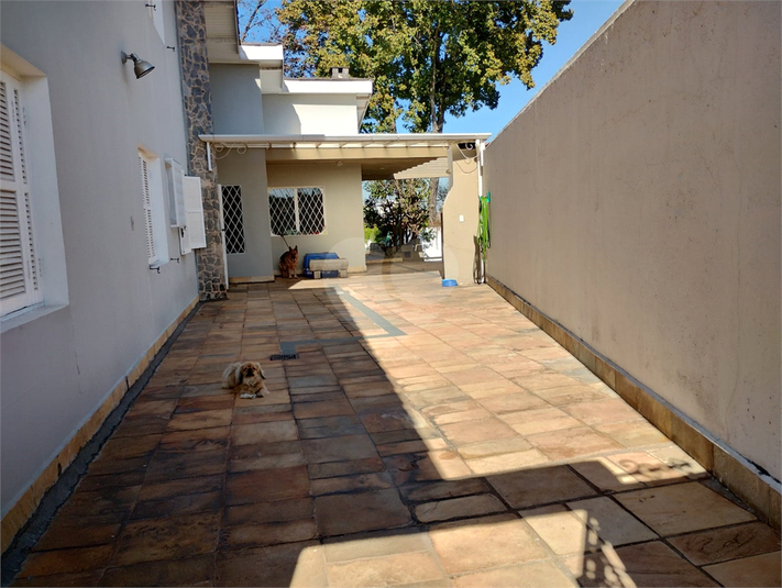 Foto REO1130597