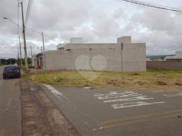 Foto REO1130602
