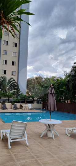 Foto REO1130607