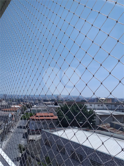 Foto REO1130614
