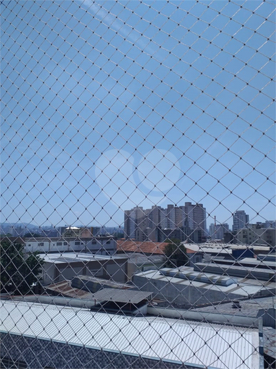 Foto REO1130614