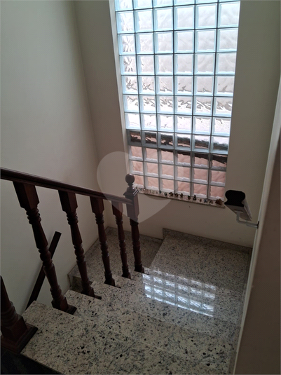 Foto REO1130619