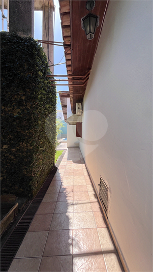Foto REO1130643