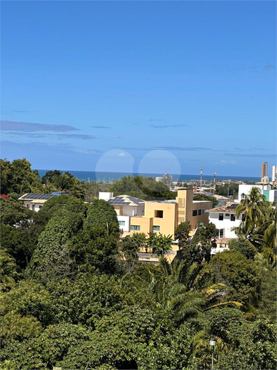 Foto REO1130644