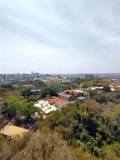 Foto REO1130646