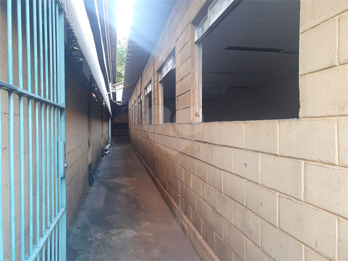 Foto REO1130653