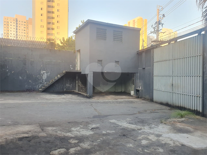 Foto REO1130653