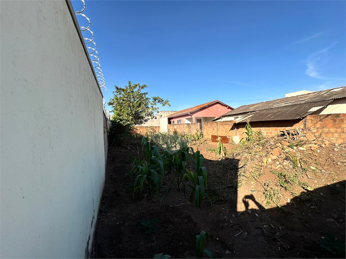 Foto REO1130657