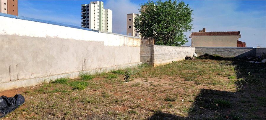 Foto REO1130666