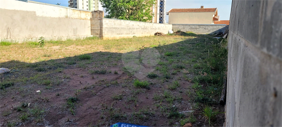 Foto REO1130666