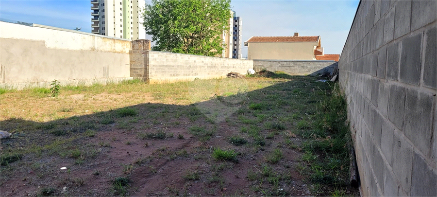 Foto REO1130666