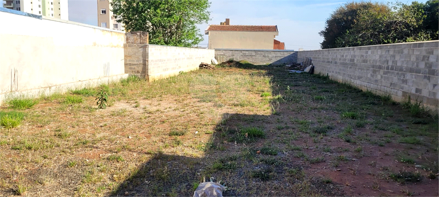 Foto REO1130666