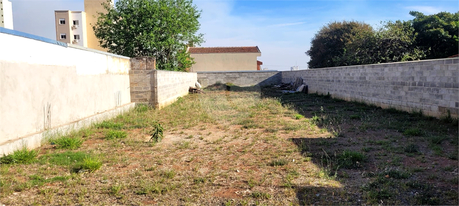 Foto REO1130666