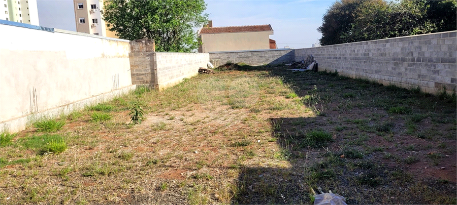 Foto REO1130666