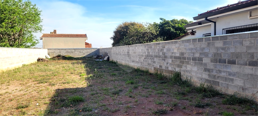 Foto REO1130666